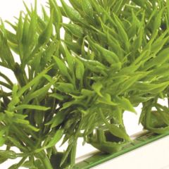 Image for B11G44